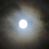 中秋の満月