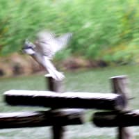 (^_-)-☆　　まだ「テスト」をしています。