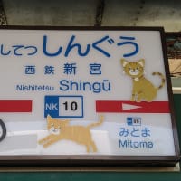 2日続けてあいのしま