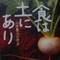 永田農法のトマトを食べて