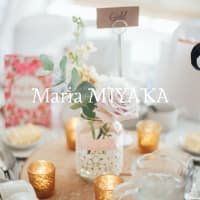 miyaka office group の活動状況ご報告します。