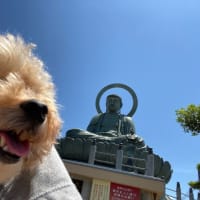 一年の締めくくり