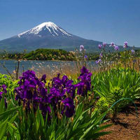 青空の富士山　２