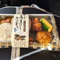 やまやの［うまだしおにぎりせっと］　羽田空港で見つけた日本エアポートデリカ(株)の素敵な「空弁」！