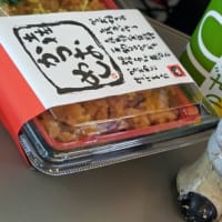楽しかった１０年ぶりの高知にじゃあね