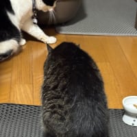 2025/6/23の夜