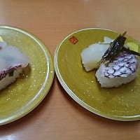 回転紀行～生簀回転すし活魚寿司さん