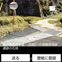 レイライン湯の華観音・栗枝渡神社・花の窟神社は何を語るか