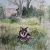 黒柴さくらちゃんを描く