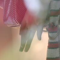 goo blog 最後の投稿です