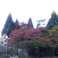 waishiさんと登る　京都雲取山（関西100）
