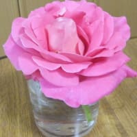 バラの香り　プンプン♡