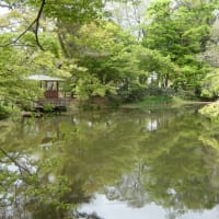 京都府立植物園で写真散策