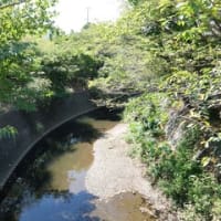 2023神奈川河川ﾎﾟﾀﾘﾝｸﾞ『葛川』①『葛川』河口～下浜橋