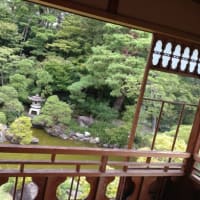 写真de俳句「百日紅の名所」で人