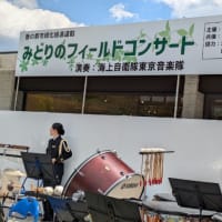 今日いち-2025年4月29日