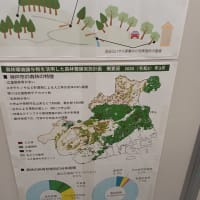 六甲山の災害展