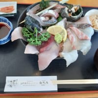 関サバ関アジで有名な海鮮丼を食べました