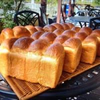 人気の杵つき食パン
