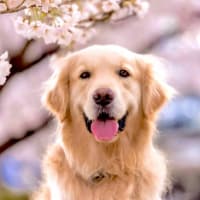 うれしい！楽しい！大好き！