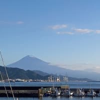 なんとかブログの引越しできました