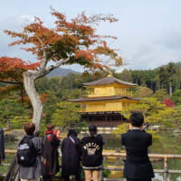 〜修学旅行4日目〜