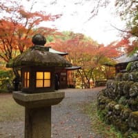 愛宕念仏寺の石仏と紅葉　＠　京都妖怪探訪（７５８）