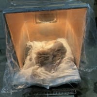 生前と苦しまない闘病生活