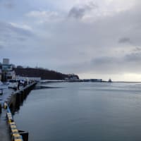 春めく小樽港