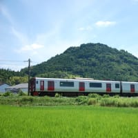 田園風景と通勤電車　JR九州８１５系