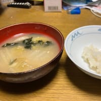 紫のトウガラシがあるらしい