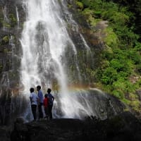 シニア（高齢者向け）におすすめする屋久島のトレッキングツアーは？