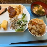 6月の出張