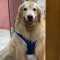 それでは