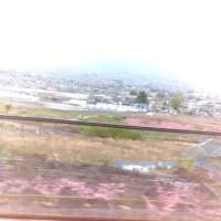 松本城2025.4.13