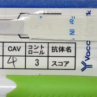 犬のワクチンと抗体検査のお話