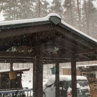 今季2度目の”らしい積雪”