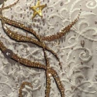 世界中の「本当の」羽生ファンの皆様へ～　羽生結弦のプログラム「SEIMEI」衣装の「金にぬりつぶした星」に込めてきた本当の想いと背後事情・真実～　