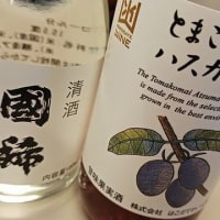 遥遥函館　旅の友