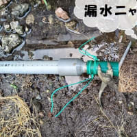 雨降って、地盤固まる^^;