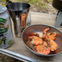 〜何処にも行けない！！なら酒飲もうぜ〜