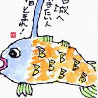 あらまっ〜(・_・)