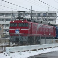 【2008年２月】寝台特急「北斗星４号」上野行