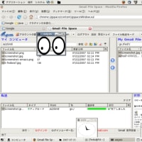 Gmail File Space(Fedora7)