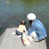 餌やり