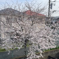 2024年3月の振り返り