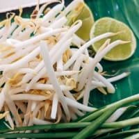 老化・血糖の健康レシピ「もやし」【健康生活】