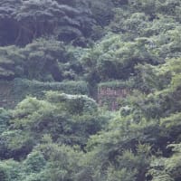 水樹奈々・新居浜別子銅山聖地巡礼記2017･2日目(5)端出場とえんとつ山