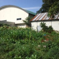 農園日記５