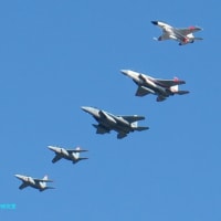 【防衛情報】アメリカ空軍Ａ－１０攻撃機１６２機全退役,エジプト空軍F-16戦闘機後継J-10C戦闘機選択肢
